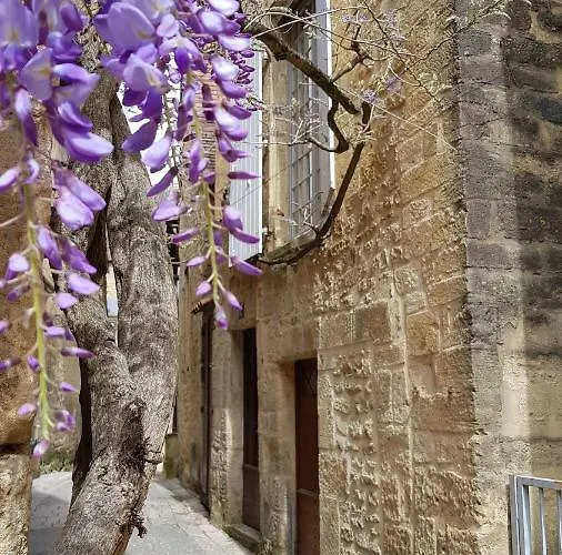 Apartamento Le Rousseau Sarlat